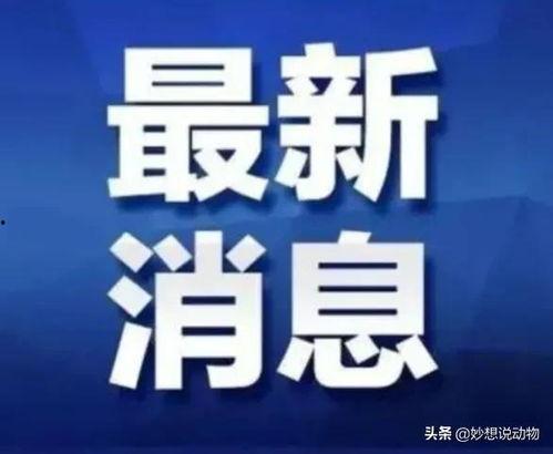 广西热视爆料最新消息新闻,最新突发新闻事件回顾  第1张