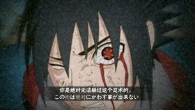 火影忍者鹰佐最新爆料  第1张